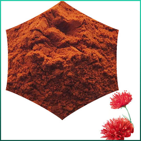 Εκχύλισμα Rhodiola Rosea